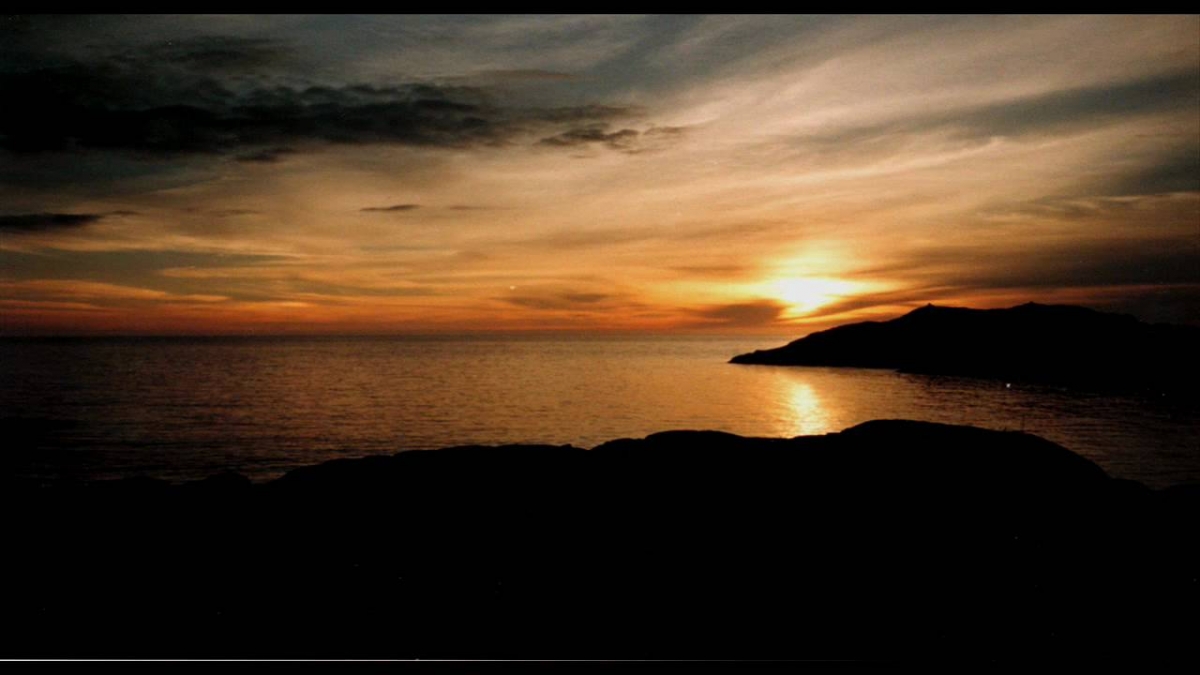 Nightwish - Last of The Wilds HD