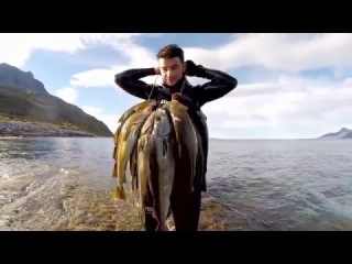 Spearfishing in Northern Norway 2015 HD (long version)