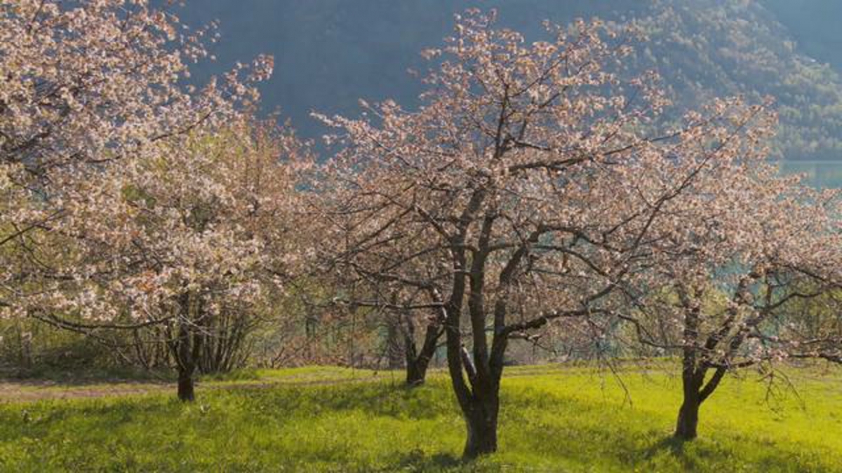 Springtime in Norway