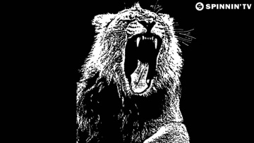 Martin Garrix - Animals (Teaser)