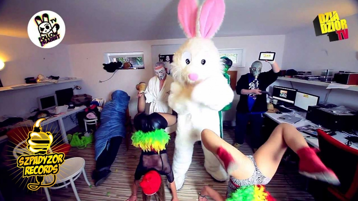 FOLLOW THE RABBIT TV :: HARLEM SHAKE