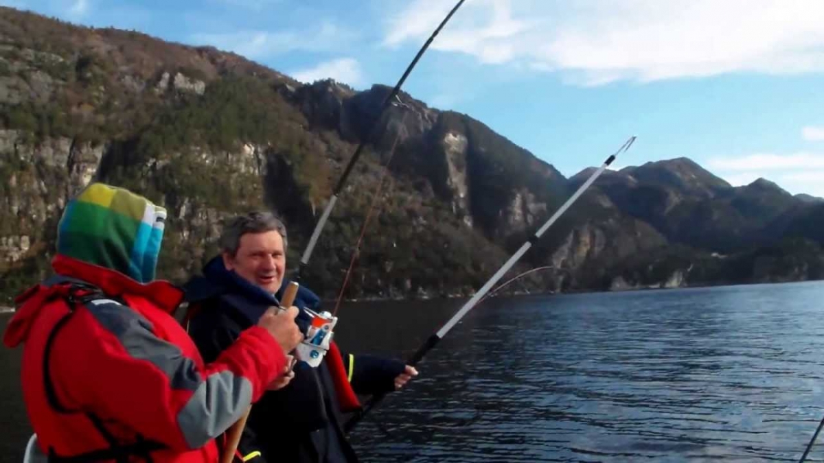 Hol z 60 metrów Dorsz Czarniak 8kg i 6kg Norwegia 2013 Seavareid