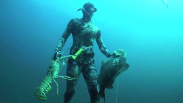 Spearfishing World Record Grouper and giant Lobsters