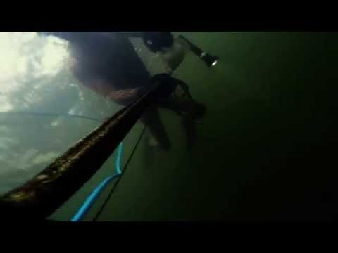 Spearfishing 2015  Oslo fjord