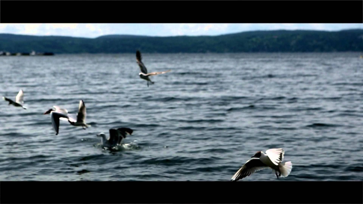 DOMIKA - SUMMERTIME LOVE (Official Music Video)