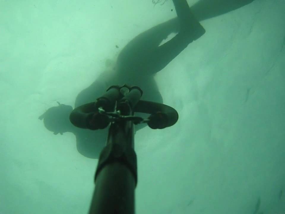 spearfishing in Norway Berggylt 2kg