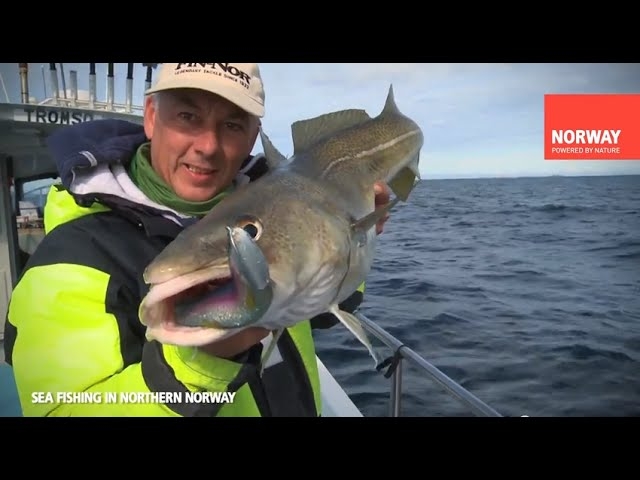 Fishing in Northern Norway