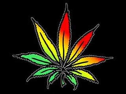 cocoa tea - 18 and over