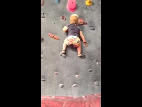 19 months  Rock Climbing Toddler