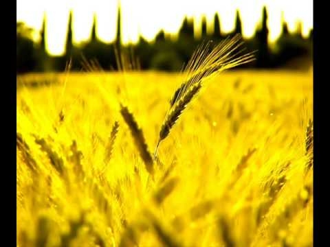Marillion - "Easter"