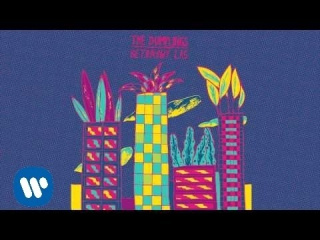 The Dumplings - Betonowy Las (Ptaki remix)