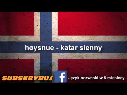 Szybka i skuteczna nauka języka norweskiego - U lekarza lub w aptece