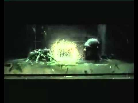Normalsi - Do stracenia