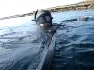 Spearfishing in Norway .Team from Saint-Petersburg. Summer 2009 Lyso, Runde .