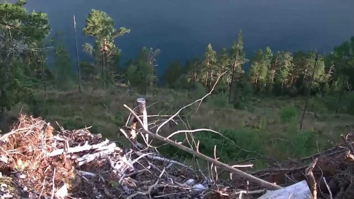Vlog 07: Norwegia - Fiord Innvikfjorden - Stryn