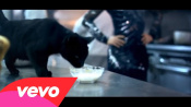 Timbaland - Morning After Dark ft. Nelly Furtado, Soshy