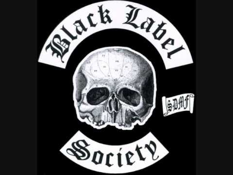 Black Label Society I Never Dreamed (Skynyrd cover)