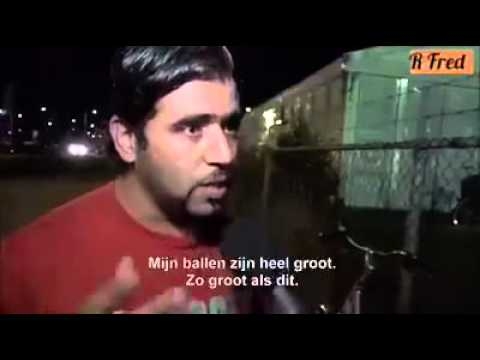 Muslim Migrants Demand Sex: “Problem, problem problem here (points to groin) Balls is very big”