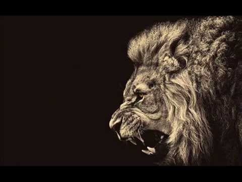 Best Motivational Speech, Music | Lion Edition 2014