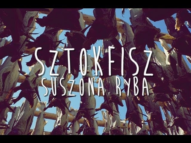 Sztokfisz - suszona ryba, Norwegia | Podróżne #67