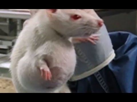 GMO, Alarm dla świata. OGM, le moment de vérité? GMOs moment of truth - Polish version