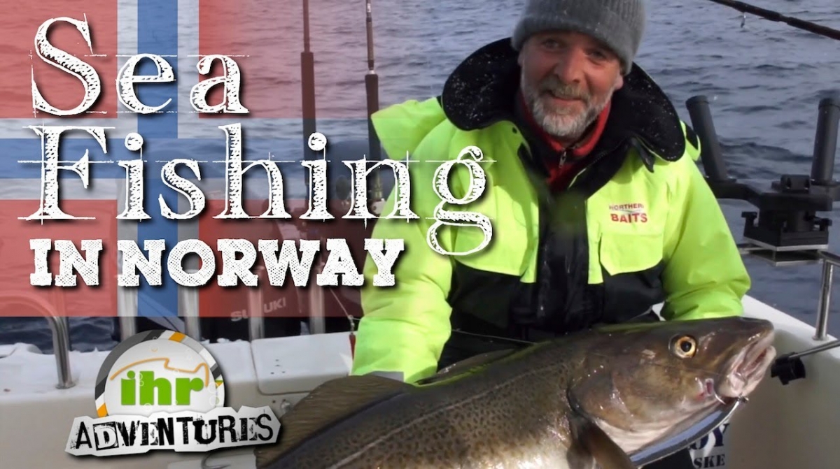 ihr Adventures - Northern lights (Cod and halibut fishing in Norway)
