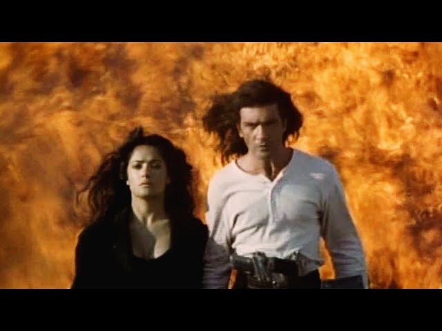Los Lobos & Antonio Banderas - Cancion Del Mariachi (Official Video)