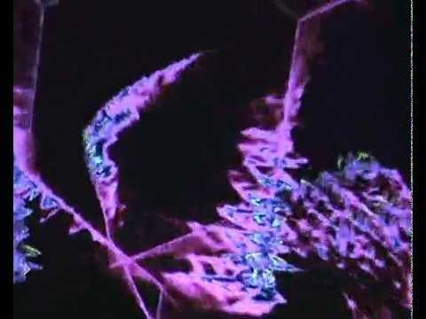 Klaus Schulze. Stardancer II