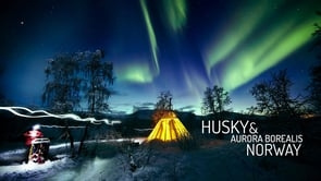 Husky & Aurora Borealis. Norway