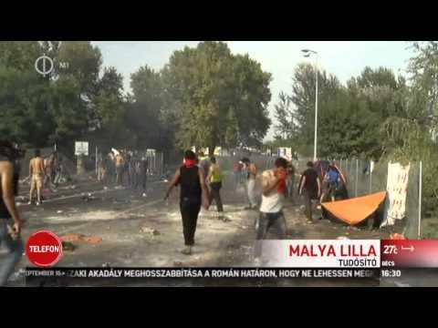 röszke 5, a szerb rendőrök nem avatkoznak be, csak szemtanúi az esetnek