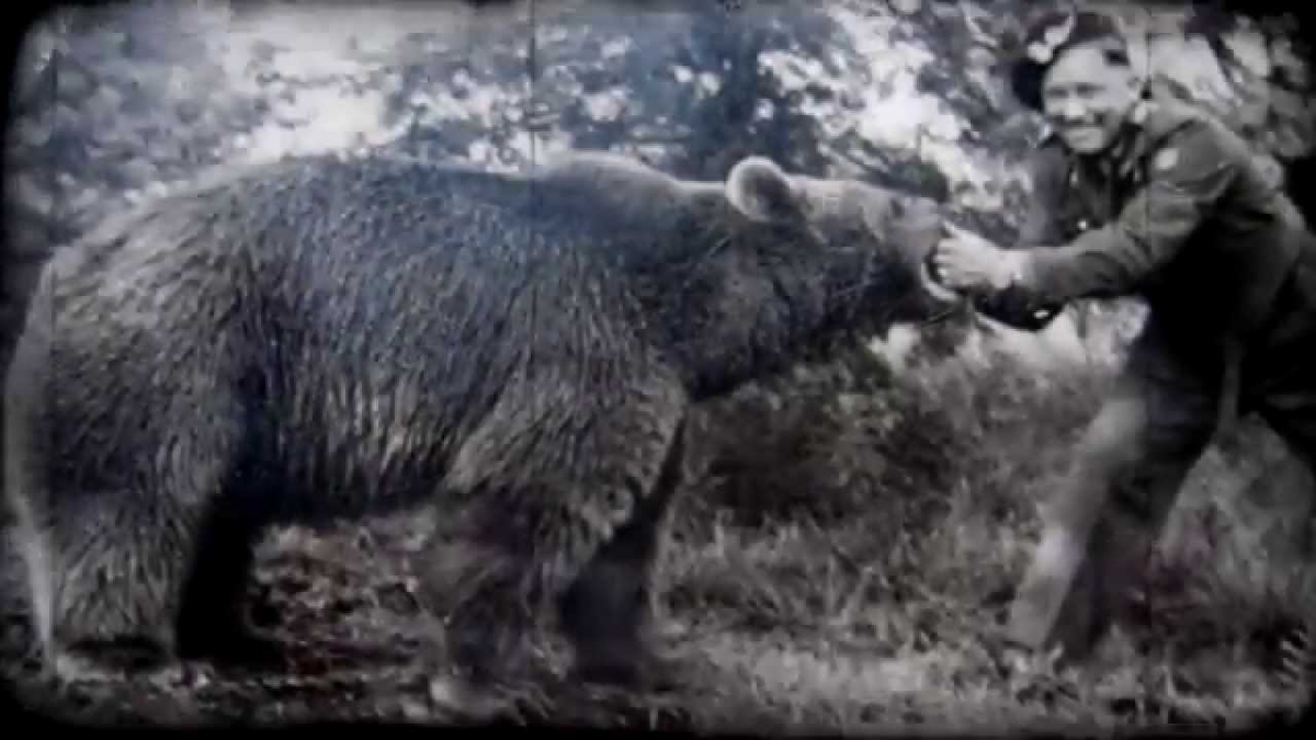 Wojtek- miś który został żołnierzem | Historia (nie)Znana # 2