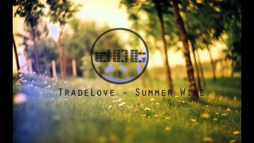 TradeLove - Summer Wine (Original Mix)