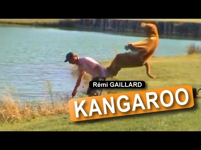 Kangaroo (Rémi GAILLARD)
