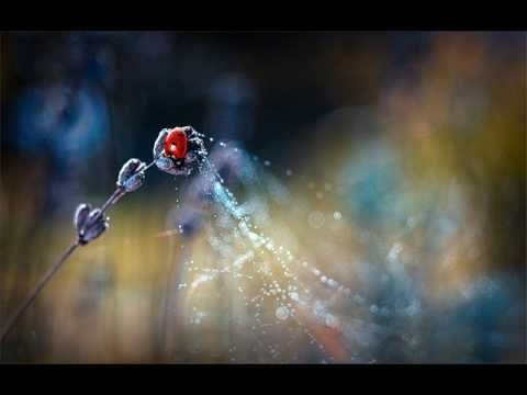 Blank and Jones - Chilled Cream