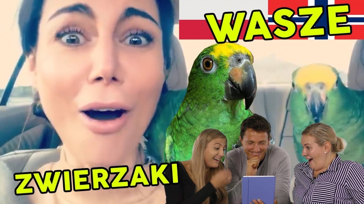 Zwierzaki Polaków z Norwegii - nasze komentarze