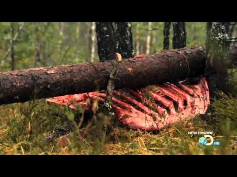 Man vs Wild | Season 6 Episode 3 - "Norway: Edge of Survival"