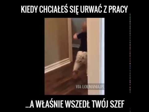14977066 1133781973395637 8854681865093644288 n