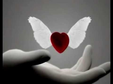 I LOVE YOU - Celine Dion