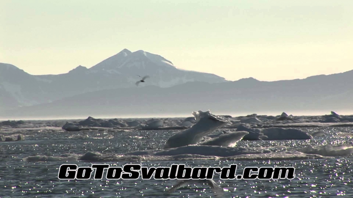 Go To Svalbard Summer 2014