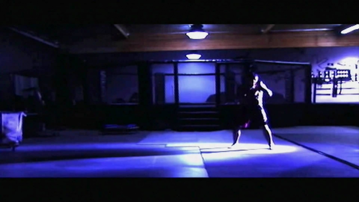 Minotauro an Antonio Nogueira MMA and PRIDE Highlight/Montage by MrSpiderpigbegins
