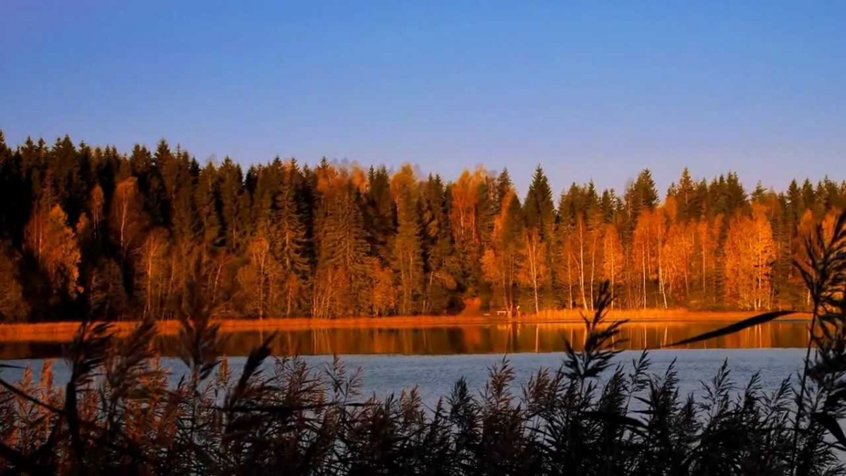 Autumn in  Norway 2011