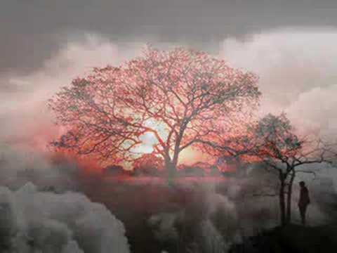 Riverside - Conceiving you