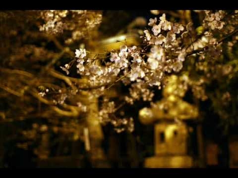 Shinsight Trio ft. Edo G.  - Heart ft. (Shin ski's Heartless Remix)