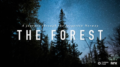 THE FOREST - A Journey Through the Forgotten Norway