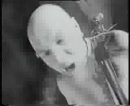 Illusion - Vendetta