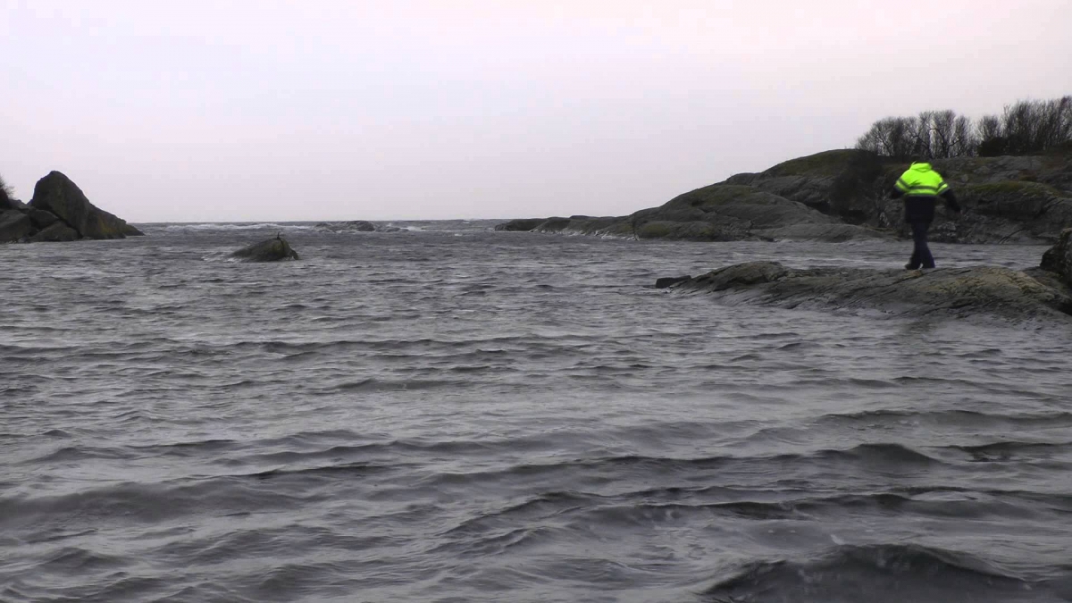 Voice of nature / głos natury - Langesund, Norway