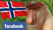 Co Was denerwuje w Norwegii vs komentarze Facebook