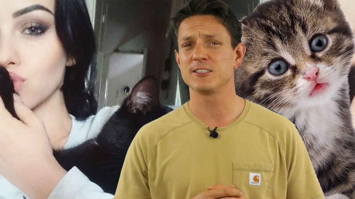 Kot zgubiony na lotnisku, czyli jak przewozić zwierzęta?