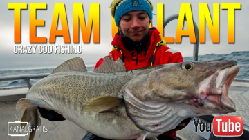 Crazy Cod Fishing in Norway | Team Galant (English subtitles)