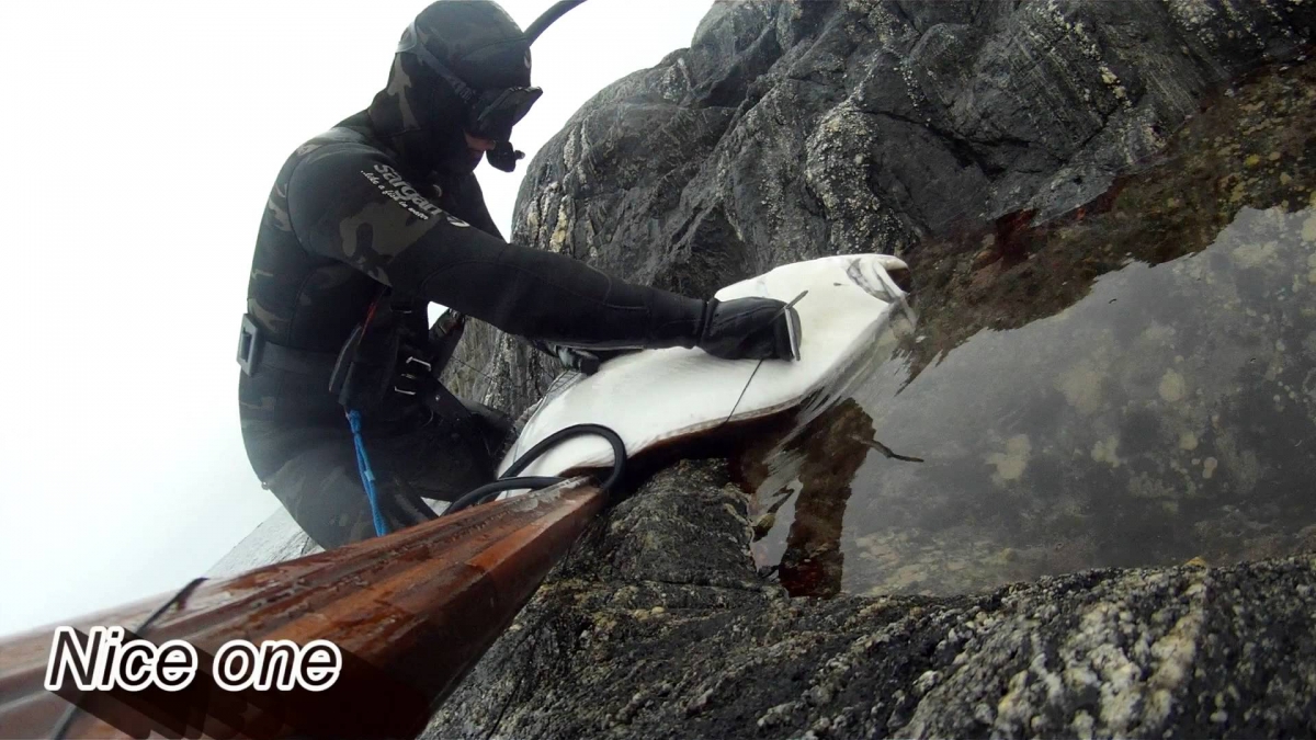 Spearfishing in Norway, Paltus Halibut